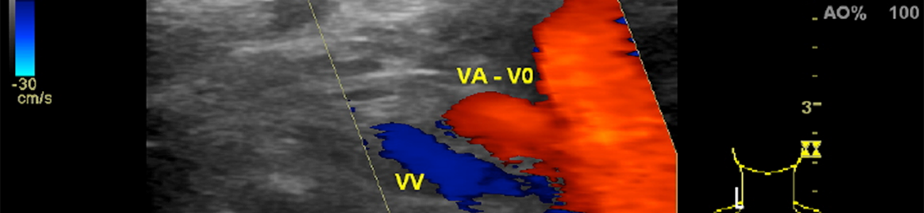 Corso di Formazione Specialistica di Eco-Color Doppler